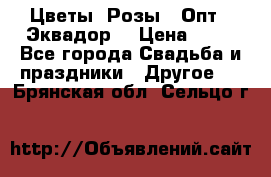 Цветы. Розы.  Опт.  Эквадор. › Цена ­ 50 - Все города Свадьба и праздники » Другое   . Брянская обл.,Сельцо г.